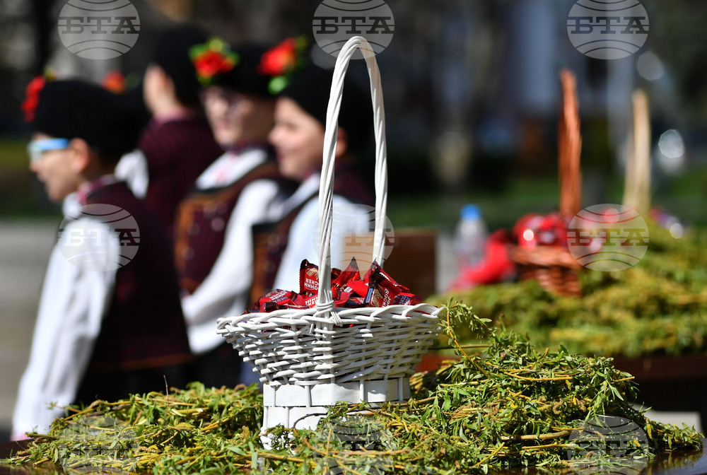 Разград - Цветница