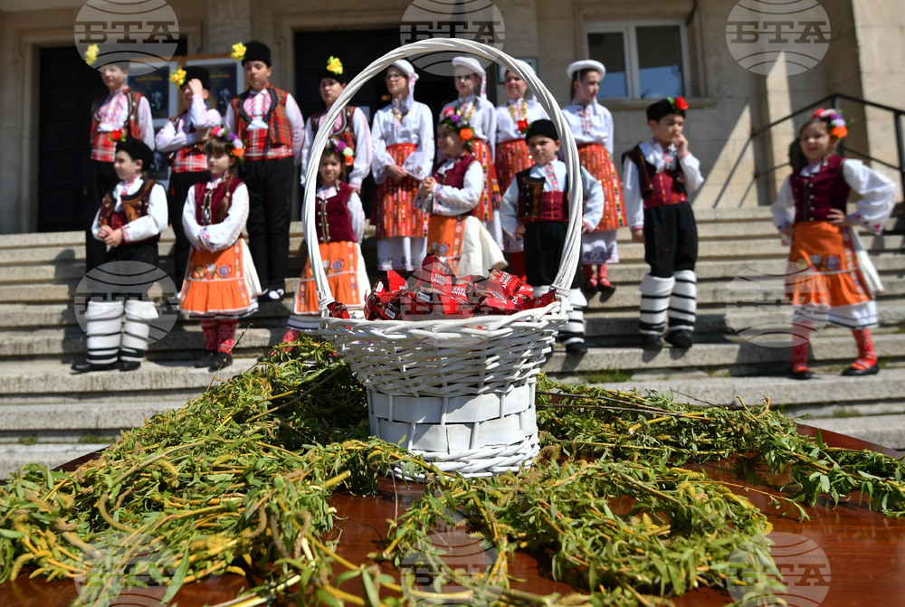 Разград - Цветница