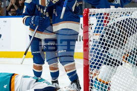 PWHL Sirens Goldeneyes Hockey