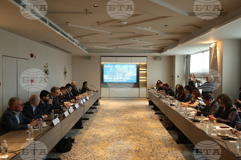 Energy Sector Representatives Discuss Low-Carbon Industry