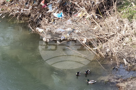 Ямбол - река Тунджа - почистване