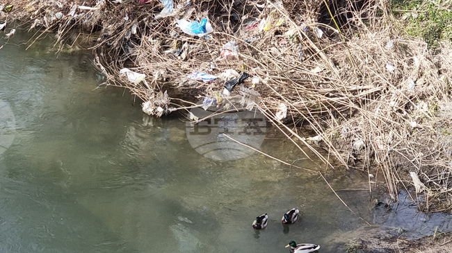 Над 100 доброволци събраха около 300 чувала с битови отпадъци при почистване на бреговете на река Какач в София