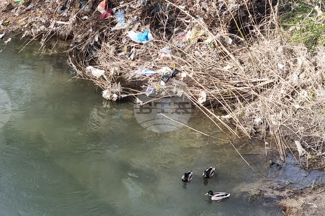 Над 100 доброволци събраха около 300 чувала с битови отпадъци при почистване на бреговете на река Какач в София