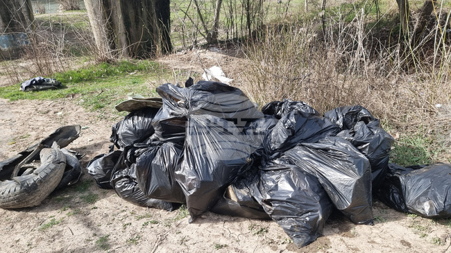 Над 1065 т битови отпадъци са събрани в община Мизия през 2025 г., показва отчетът за изпълнение на Програмата за управление на отпадъците