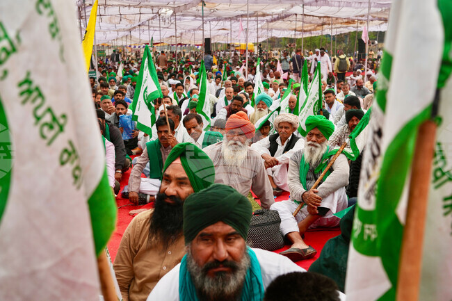 India Farmers Protest