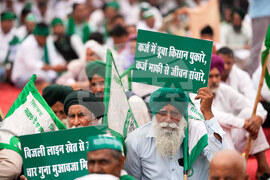India Farmers Protest