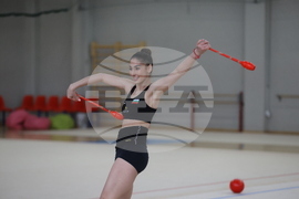 Световна купа по художествена гимнастика -  БФХГ - пресконференция