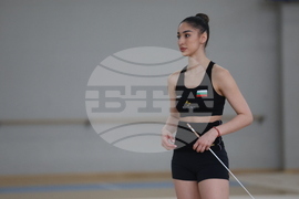 Световна купа по художествена гимнастика -  БФХГ - пресконференция