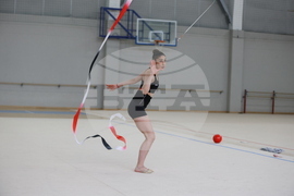 Световна купа по художествена гимнастика -  БФХГ - пресконференция