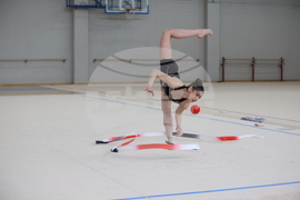 Световна купа по художествена гимнастика -  БФХГ - пресконференция