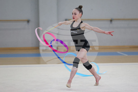 Световна купа по художествена гимнастика - БФХГ - пресконференция