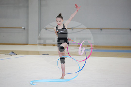 Световна купа по художествена гимнастика - БФХГ - пресконференция