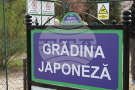 Румъния - Цветница