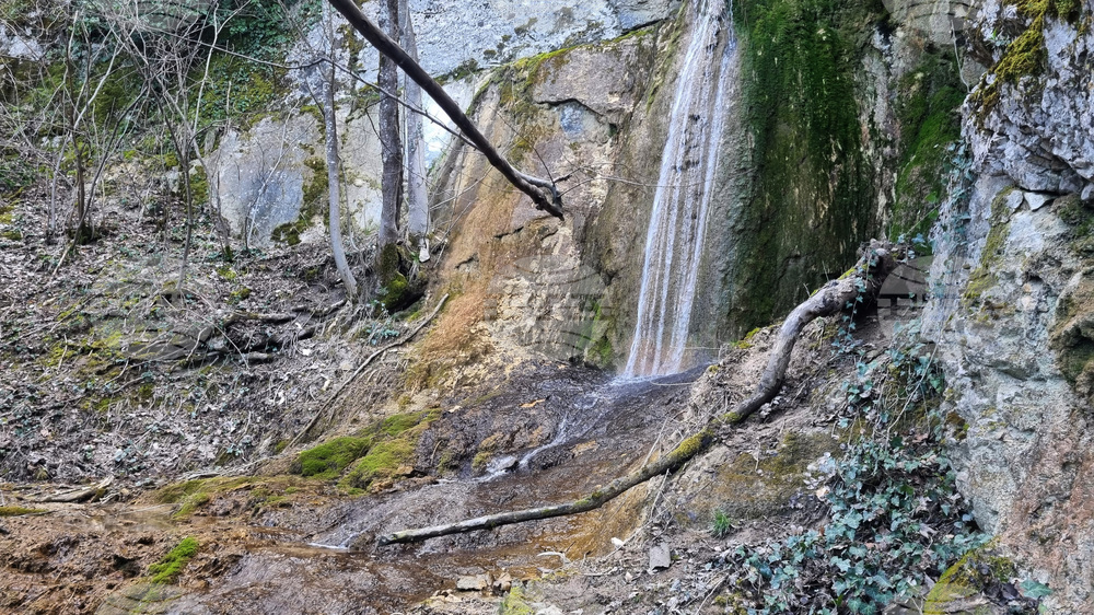 Търговище - води - пълноводие