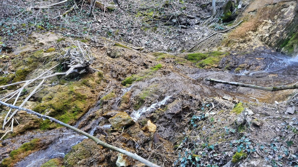 Търговище - води - пълноводие