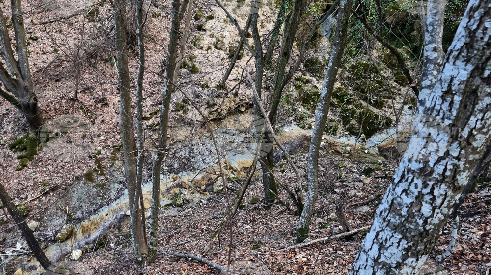 Търговище - води - пълноводие