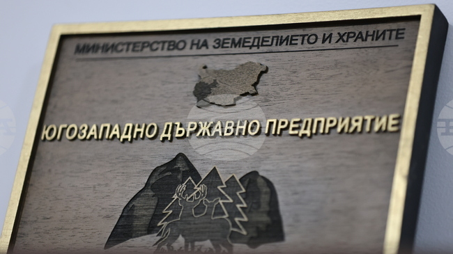 Милена Петрова е назначена за заместник-директор на Югозападното държавно предприятие