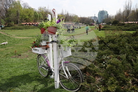 Румъния - Цветница