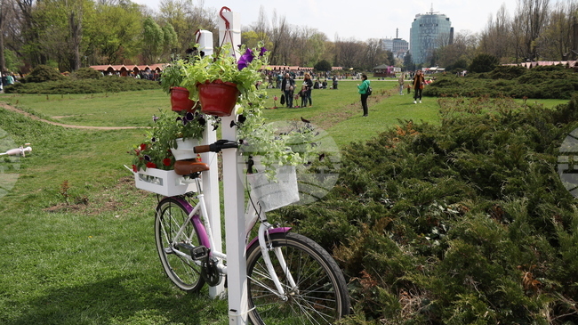 Нов парк в Букурещ ще носи името на Доналд Тръмп; решението предизвика критични реакции
