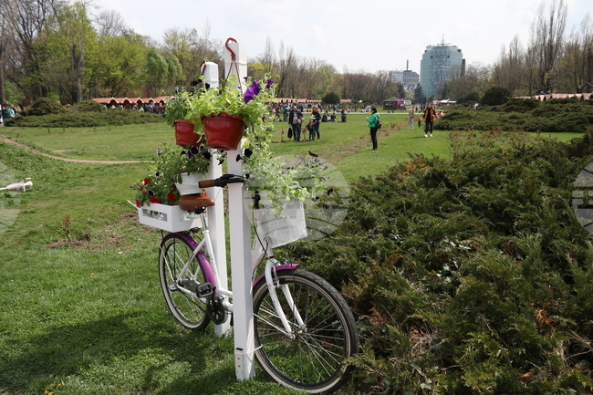 Нов парк в Букурещ ще носи името на Доналд Тръмп; решението предизвика критични реакции