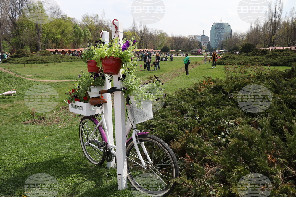 Румъния - Цветница