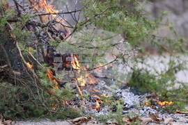 Благоевград - Югозападно държавно предприятие - Регионална дирекция „Пожарна безопасност и защита на населението“ - пресконференция - демонстрация