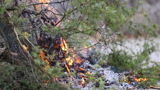 Общо 33 пожара са ликвидирани в страната през изминалото денонощие