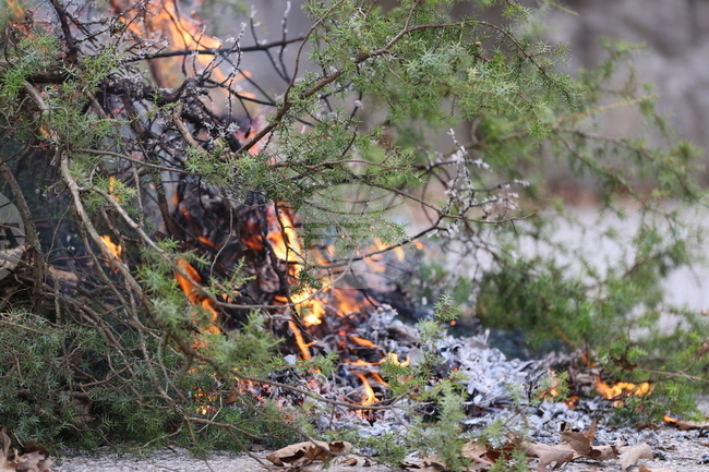 Общо 33 пожара са ликвидирани в страната през изминалото денонощие