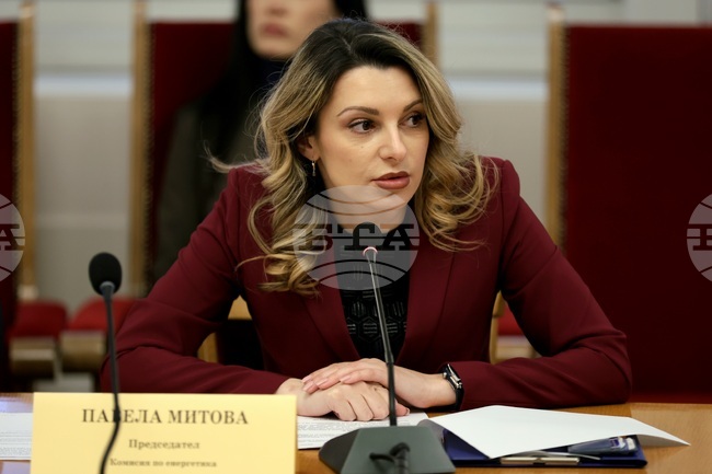 Pavela Mitova Is Top-of-the-List Candidate of There Is Such a People for Sofia 23rd and Stara Zagora 27th Constituencies