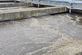 Ловеч - пречиствателна станция - ученици