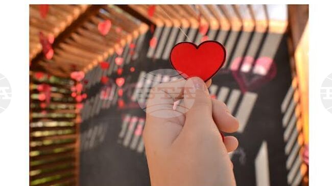 Млади старозагорски фотографи ще представят втора самостоятелна изложба в зоопарка на града