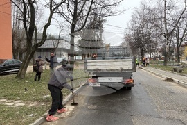 Самоков - пролетно почистване