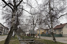 Самоков - пролетно почистване