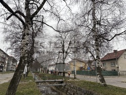 Самоков - пролетно почистване