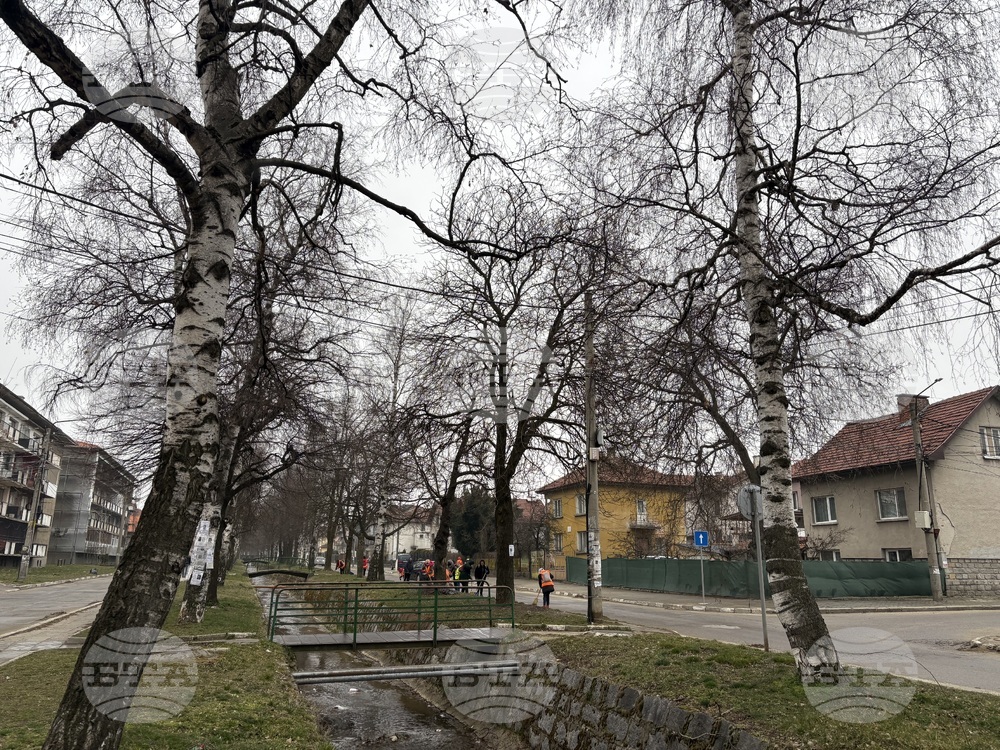 Самоков - пролетно почистване