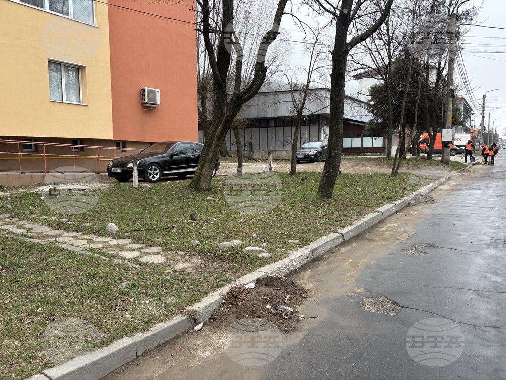 Самоков - пролетно почистване