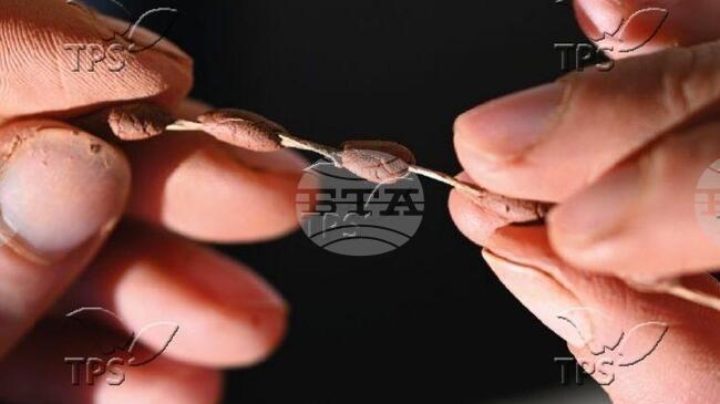 ТПС: Глинени мъниста на 15 000 години разкриват историята на най-ранните човешки бижута