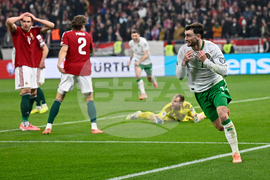 Ireland Coach Soccer