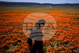 Be Well Allergy Tips