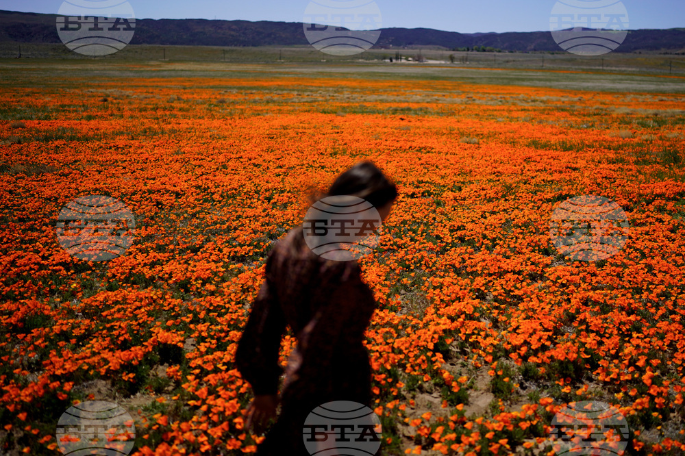 Be Well Allergy Tips