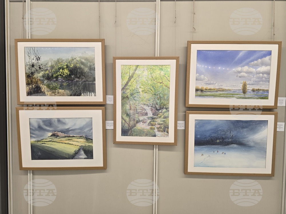 Плевен - изложба - триенале - акварел