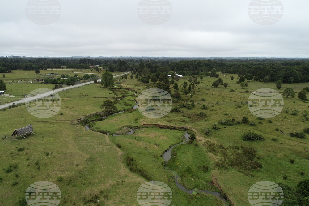Chile Early Human Site