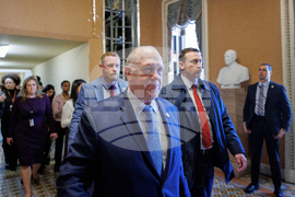 Border Czar