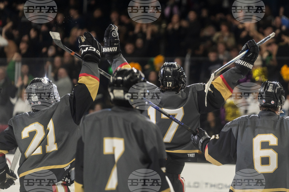 Ice Rink Shooting Game Hockey