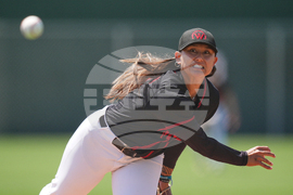 WPBL Womens Baseball