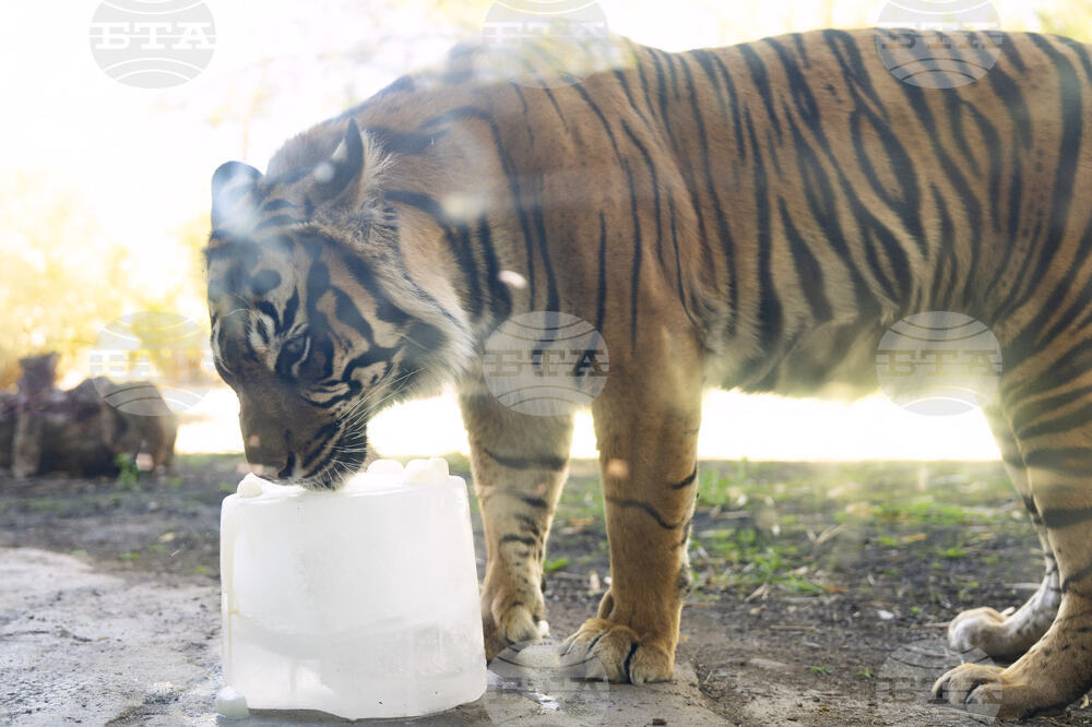 Arizona Severe Weather