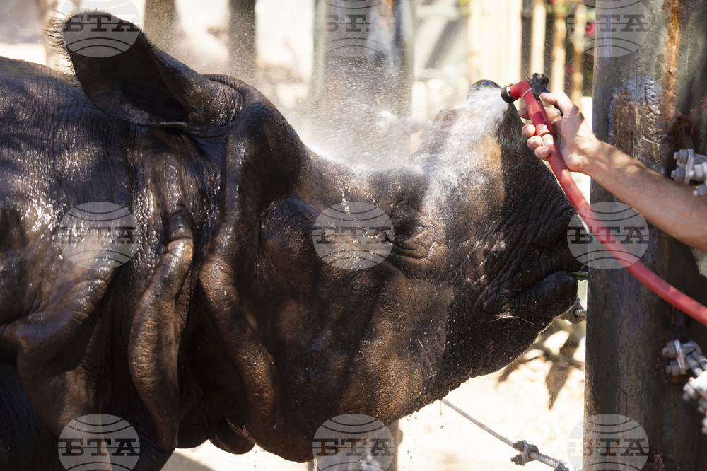 Arizona Severe Weather