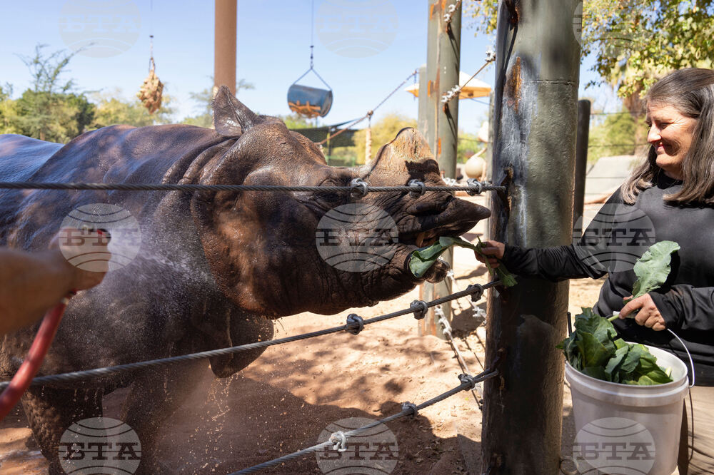 Arizona Severe Weather