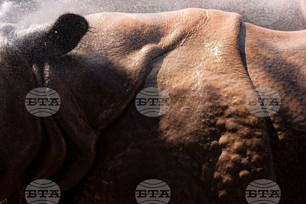 Arizona Severe Weather
