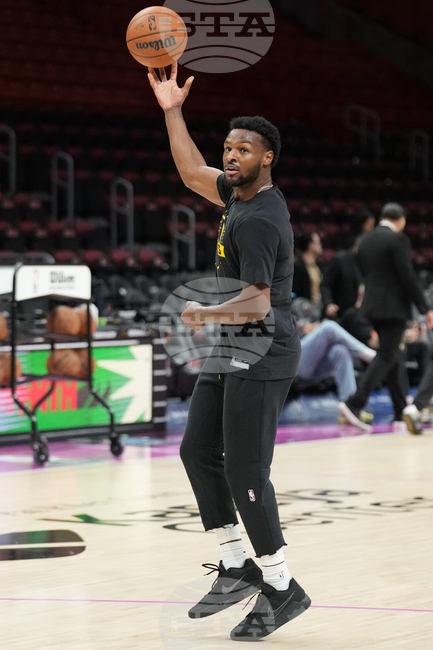 Lakers Heat Basketball